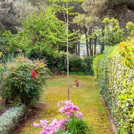 Διαμέρισμα Branko *