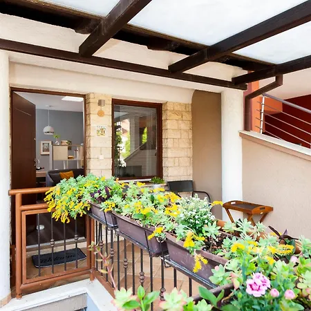 Διαμέρισμα Branko