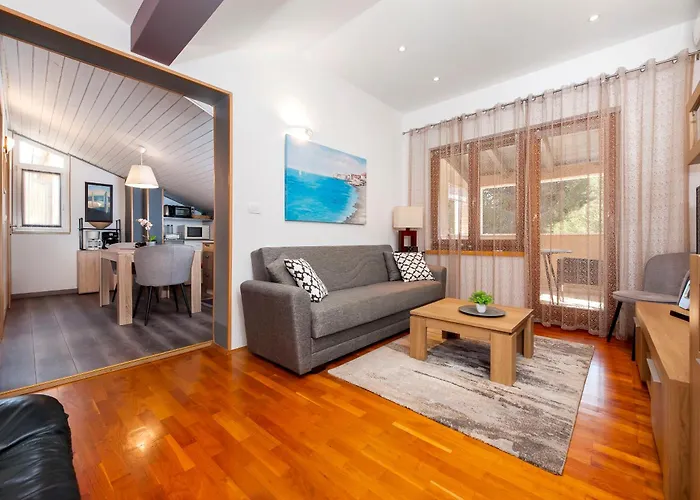 Branko Διαμέρισμα Ρόβινι