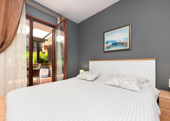 Branko * Ρόβινι