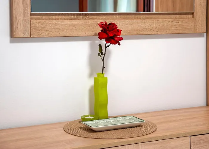 Branko Διαμέρισμα Ρόβινι