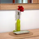 Branko Apartment Rovinj