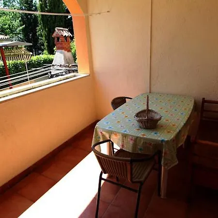 Apartment Branko *