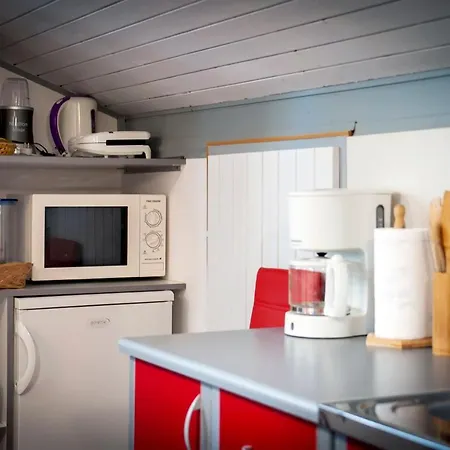 Apartment Branko *