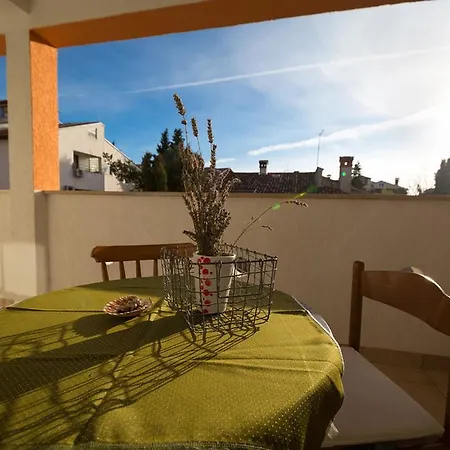 Apartment Branko *