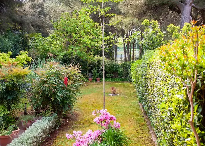 Apartamento Branko *