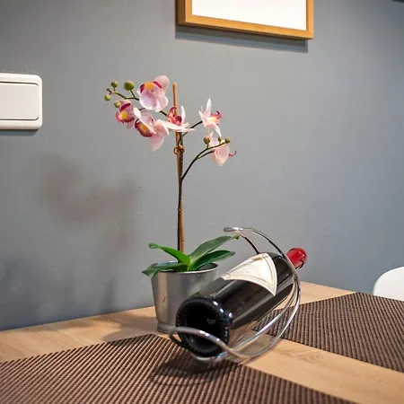 Apartamento Branko *