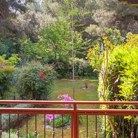 Branko Apartamento